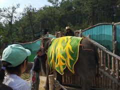 -大连森林动物园