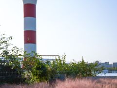 -上海山野camping·户外天幕烧烤·团建拓展营地