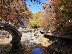 -关门山森林公园