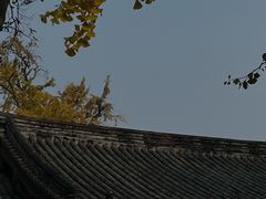 -常熟方塔园