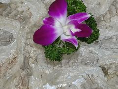 -官塘陈记鱼生·潮汕砂锅粥·牛肉火锅(潮枫路总店)