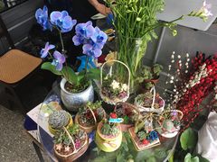 -FEI FEI FLOWER鲜花店·气球派对·宝宝宴布置(虹口德必运动Loft店)