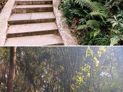 -南华禅寺