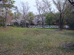 -共青国家森林公园-售票处