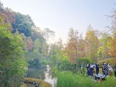 -云溪植物园