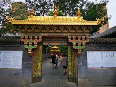 -护国法轮寺