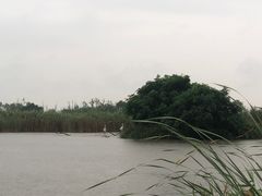 -盐城丹顶鹤湿地生态旅游区