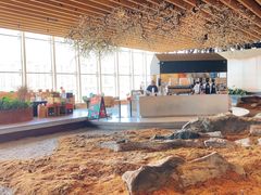 -Seesaw Coffee(朝阳大悦城店)