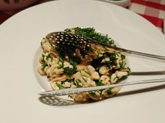 鲜沙葱拌核桃仁-西贝(六里桥旗舰店)