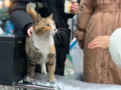 -上海市徐汇区口腔医院