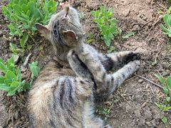 -野鸭湖国家湿地公园