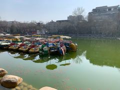 -莲湖公园