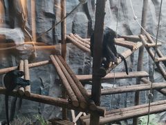 -武汉动物园