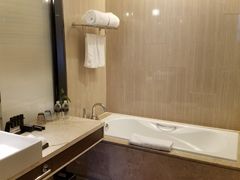 -济南绿地美利亚酒店