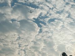 -深圳湾公园(南山区)