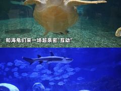 -广州海洋馆