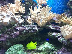 iphone_upload_pic-御唐府海珊瑚主题餐厅