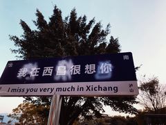 -西昌邛海湿地