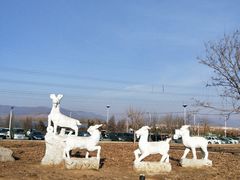 -羊亭河湿地公园