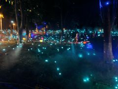 -洋湖国家湿地公园