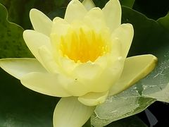 -国家植物园