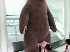 -济州岛泰迪熊博物馆