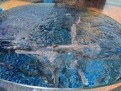 -渔乐里(智荟城店)