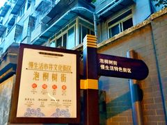 -泡桐树街