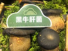 -楠小云·云南鲜菌·鲜牛自助火锅(九眼桥店)