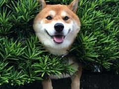 -1点点(中山门大街店)