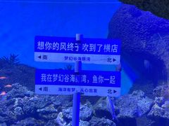 -横店影视城梦幻谷园区