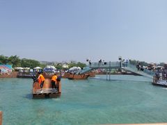 -秦皇岛乐岛海洋王国