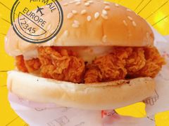 -华莱士·全鸡汉堡(财经学院店)