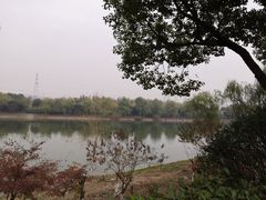 -羊山湖公园