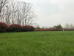 -尚贤河湿地