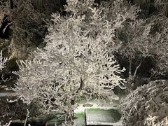 -江南天池高山汤泉城