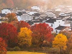 -塔川景区