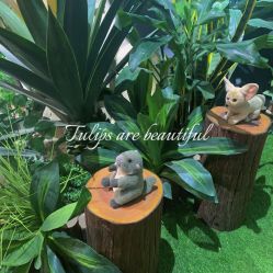 -酷嗒动物文化乐园(cutezoo西溪乐天城店)