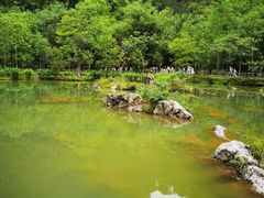 -小七孔景区-六十八级跌水瀑布