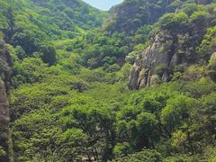 -大岭沟猕猴桃谷风景区