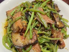 -一撮毛美食城(全力一路店)