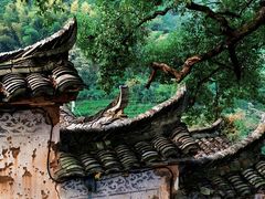 -杨家堂村