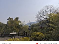 -大唐贡茶院