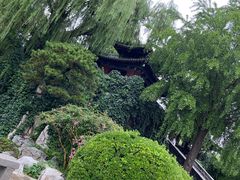 -济南大明湖景区