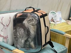 -瑞鹏宠物医院华南总院·夜诊·心脏科·骨科