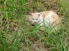 -长辛店二七公园