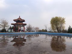 -白水寺森林公园