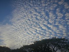 -海南清水湾莱佛士酒店