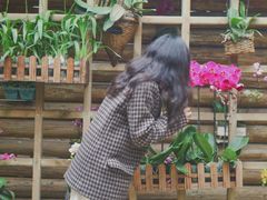 -南山植物园