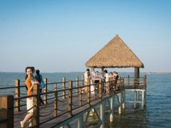 -瑶湖郊野森林公园